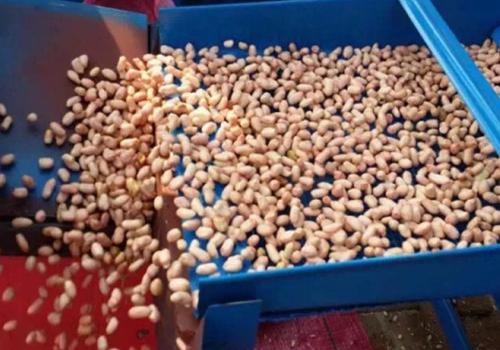 生產(chan)現(xian)場